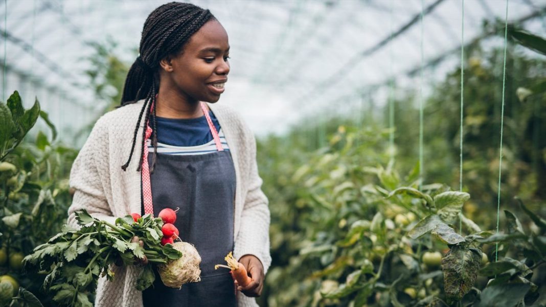 Business opportunity for women