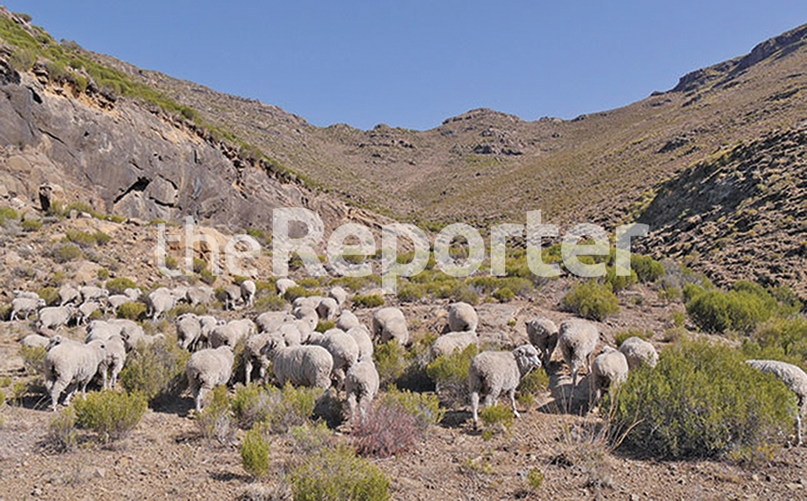 Tackling crime along the South Africa-Lesotho border