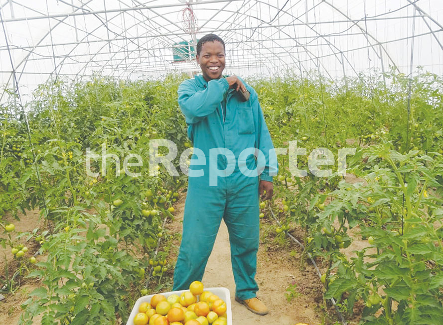 Couple making a living from farming