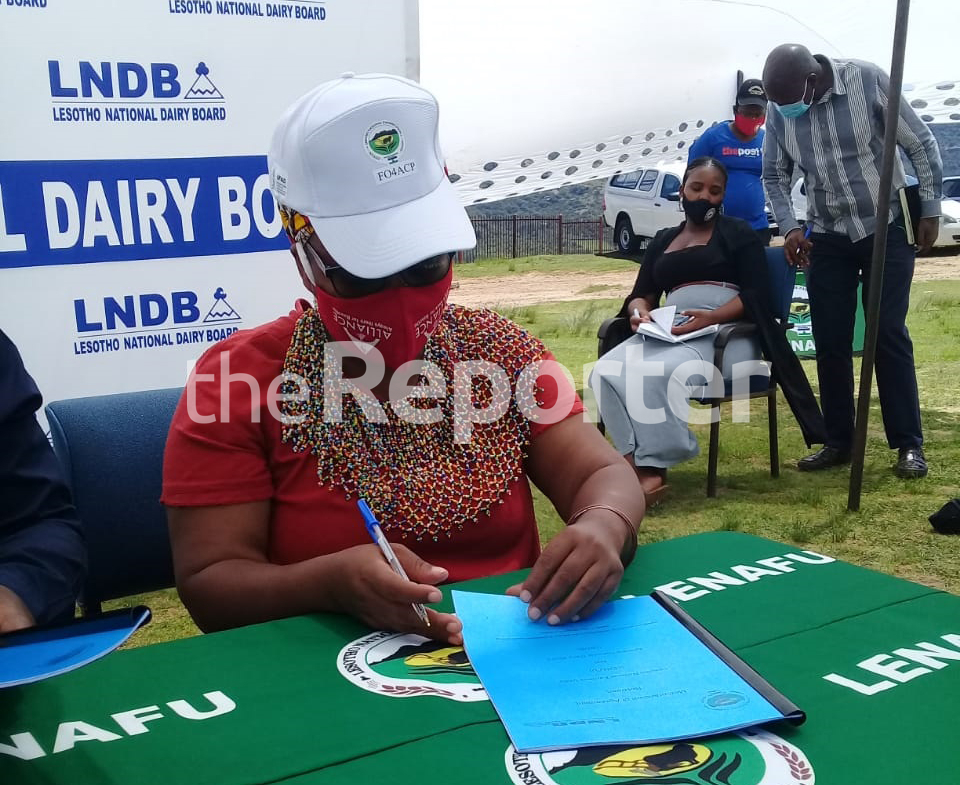 Reprieve for dairy famers