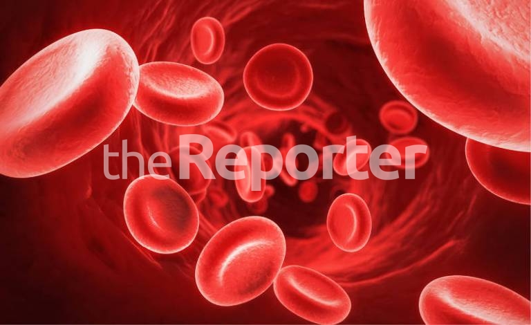 Association marks Rare Disease Day