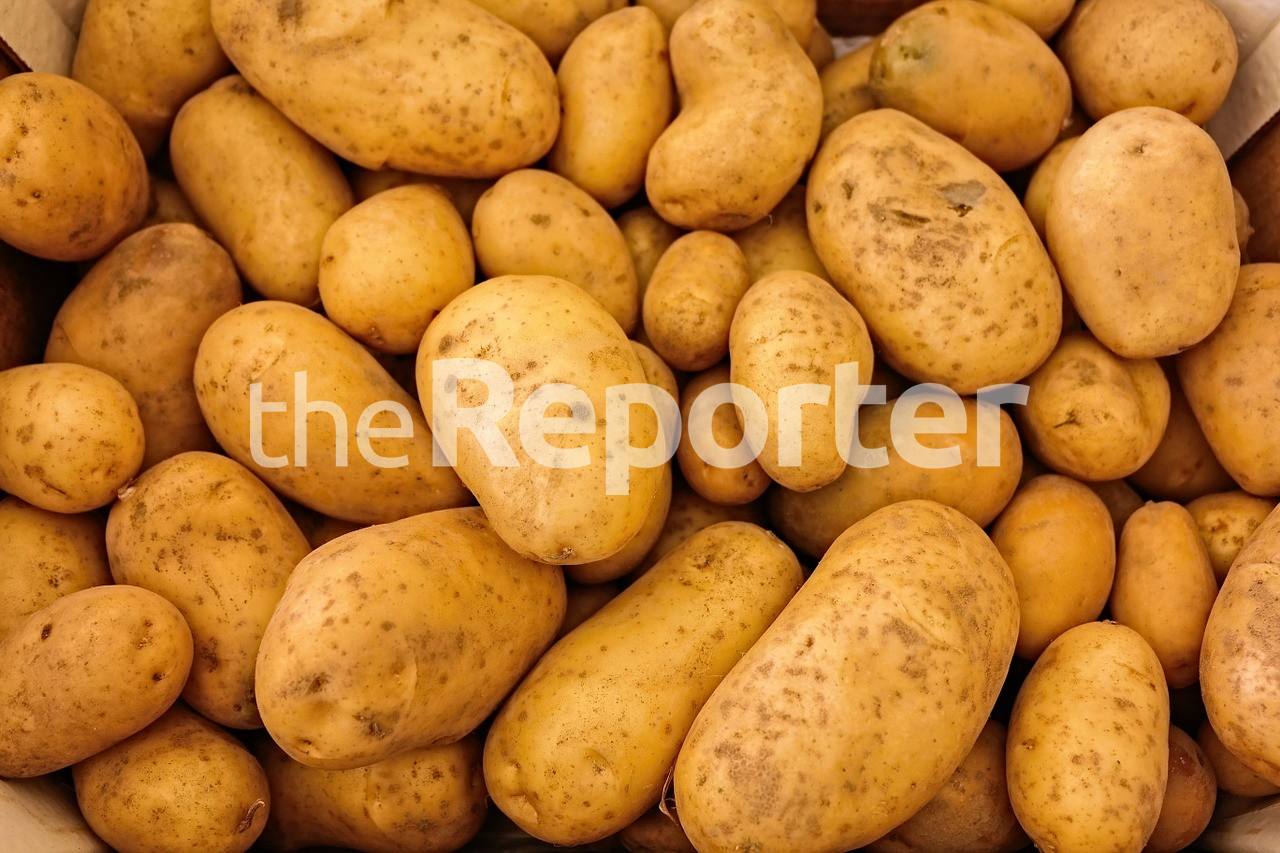 Ntsane salvages post-harvest losses