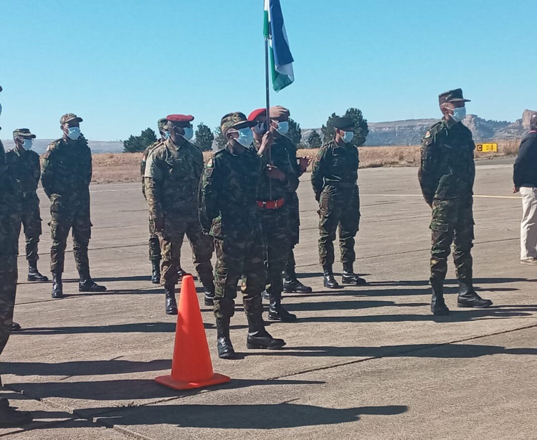 M3m spent to free LDF members