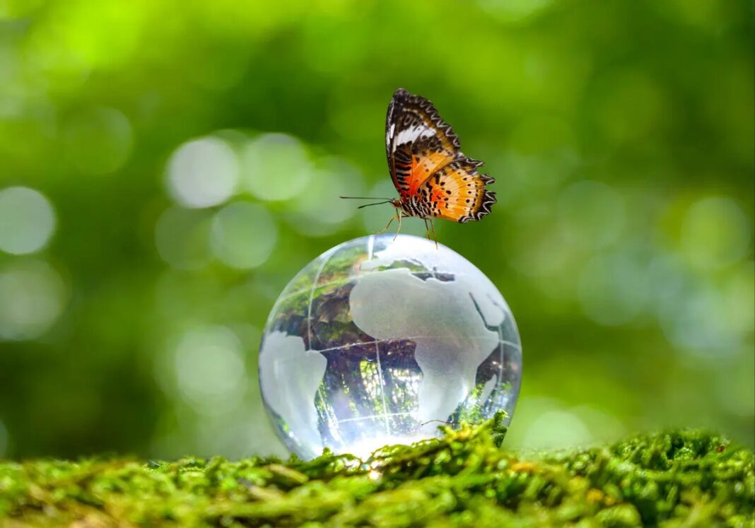 World Environment Day marked in Maseru