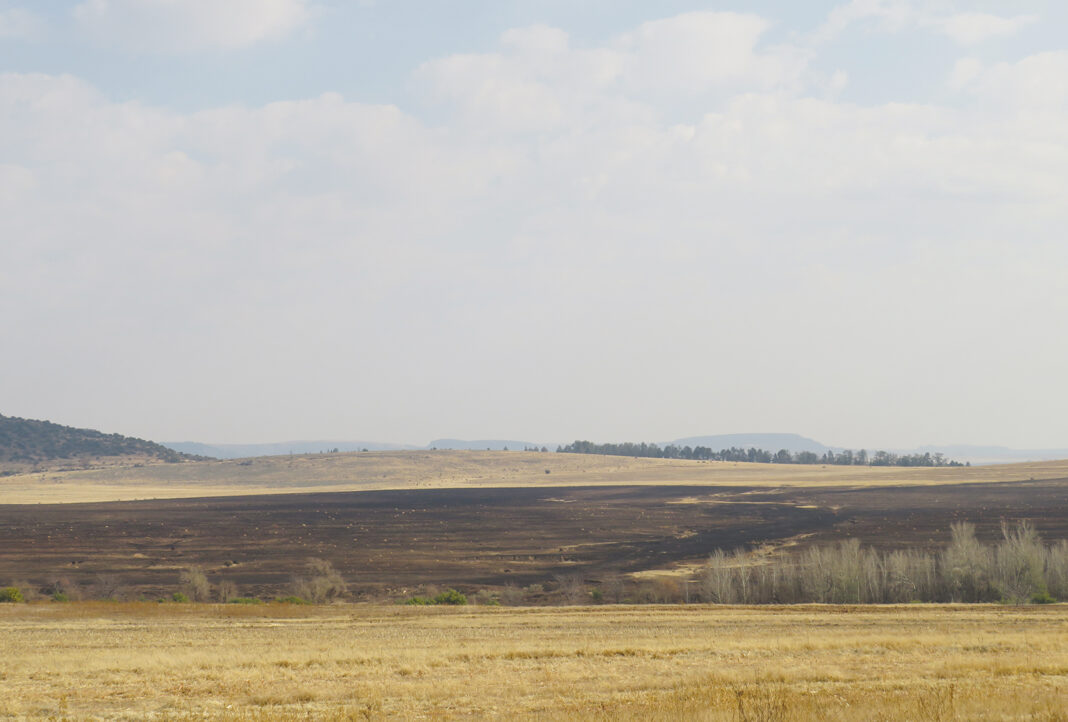 Wildfires destroy pastures – Ministry