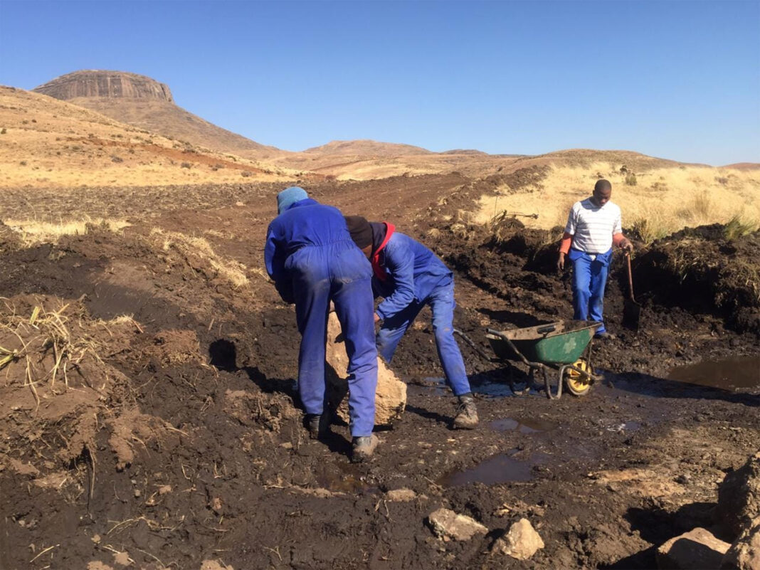 Volunteers making a dream come true