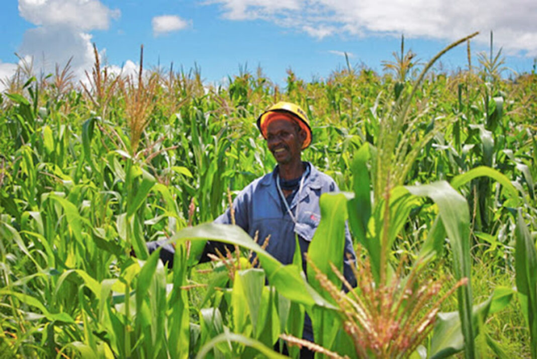 MMB to rescue farmers