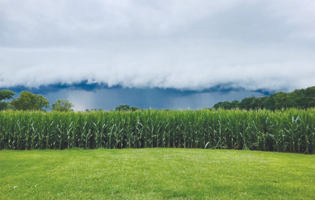 Local farming knowledge still ‘useful’