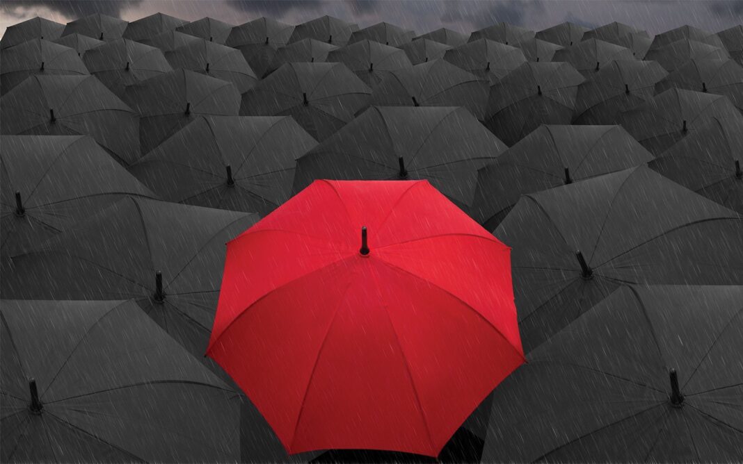 Why employers should consider joining Umbrella Funds