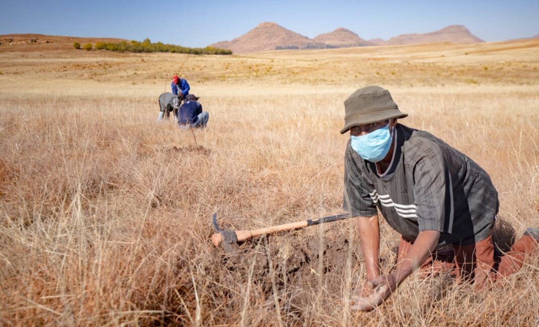 Limomonane Trust strives to keep Lesotho green
