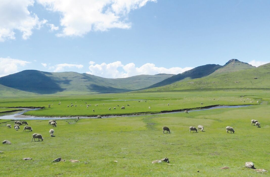 Soil erosion drives wetland degradation