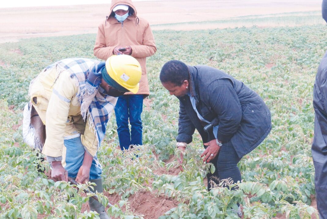 Farmers to feel a pinch on fuel price