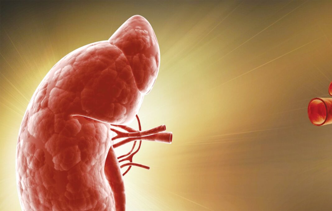 Kidney patients cry for help