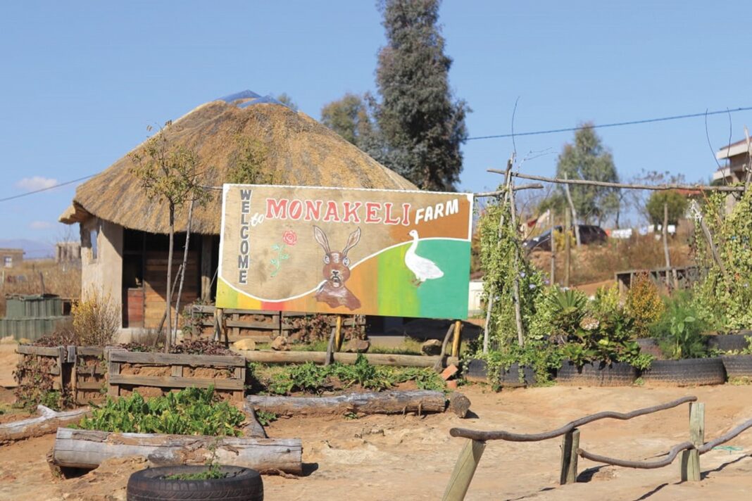 Awards to make farming trend