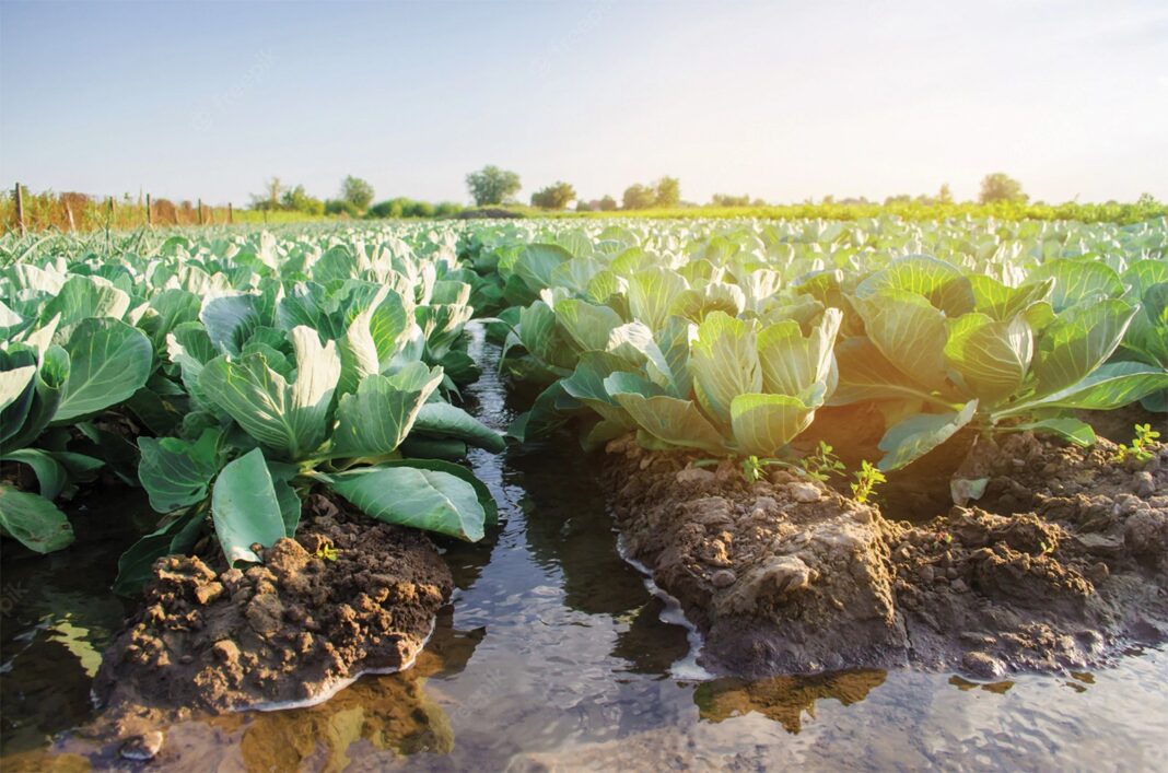 Govt urged to prioritize irrigation