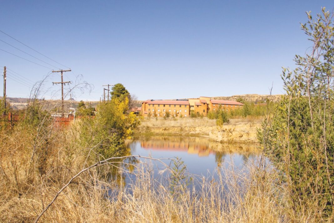 AUSC games misery lingers