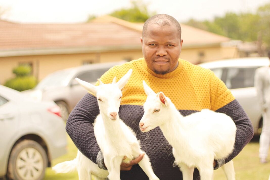 Goat milk has tremendous health benefits