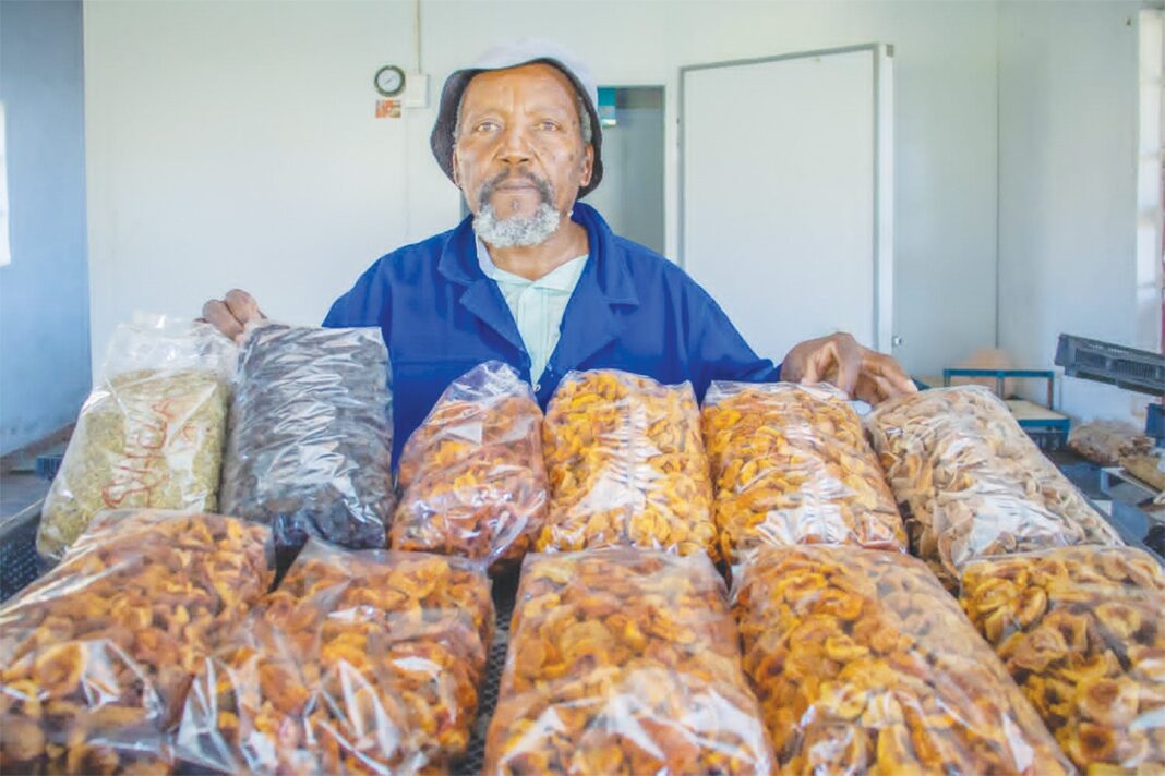 Theko ekes out a living preserving vegetables and fruits