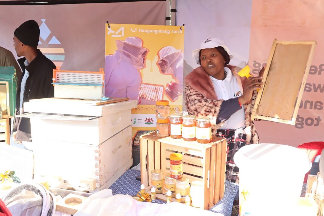 ReNoka boosts farmers’ access to market