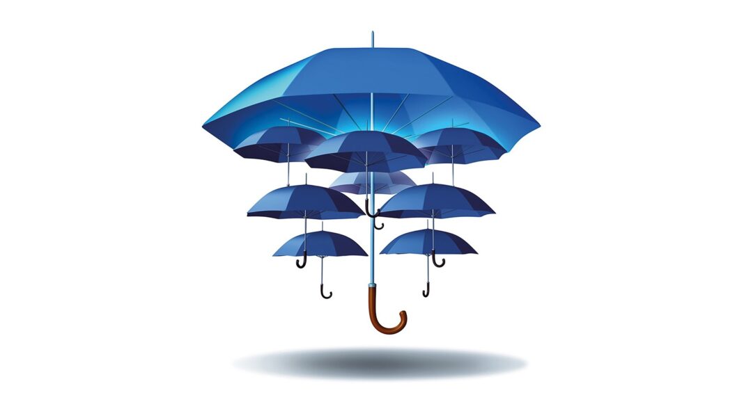 Reinsurance: Bolstering Stability in an Uncertain World