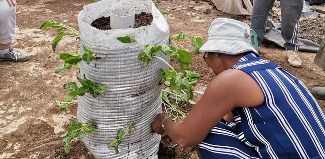 Empowering ordinary people with gardening, business skills