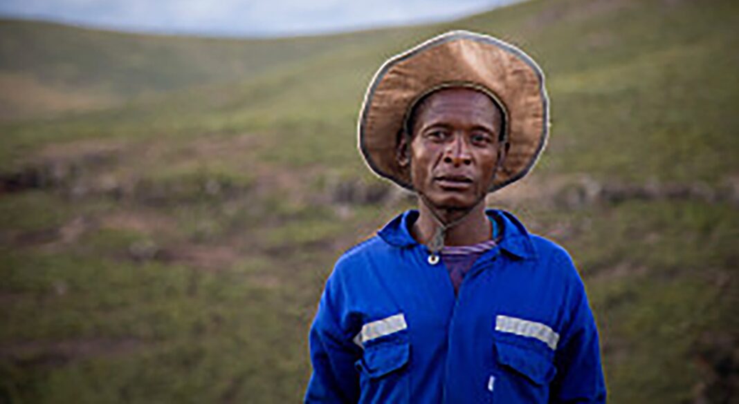 Invasive species take over Lesotho’s rangelands