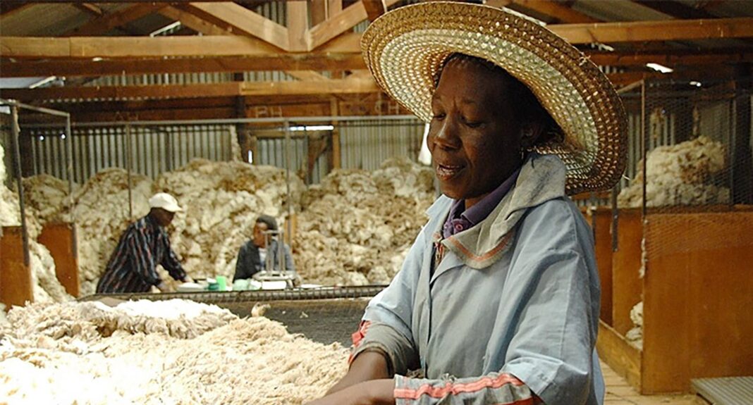 Major boost for wool and mohair farmers