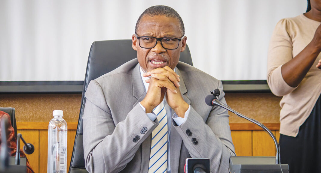 When elephants fight