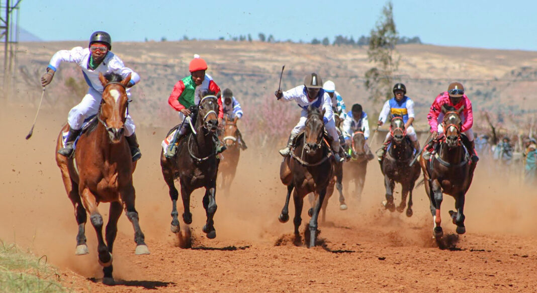 Radebe Foundation injects M300k for horse racing