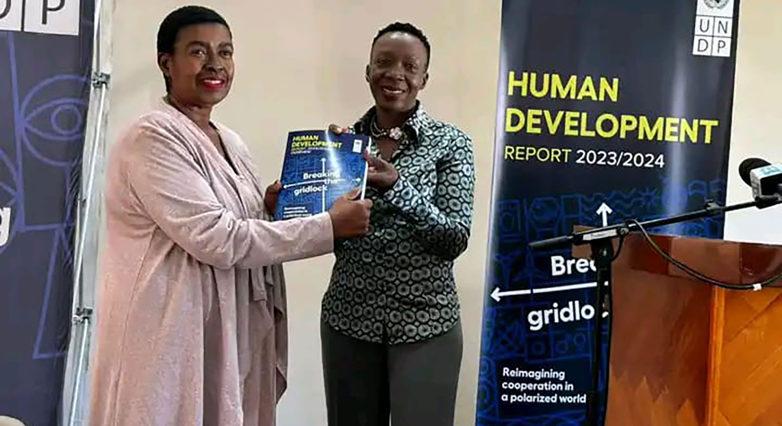 UNDP launches human development report