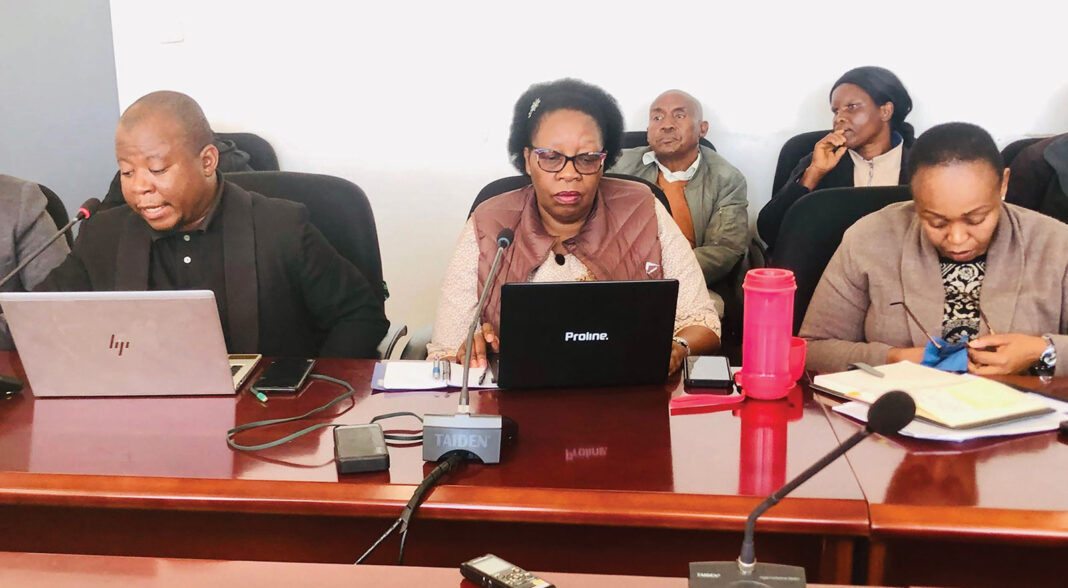 Parly committee slams truant ministry