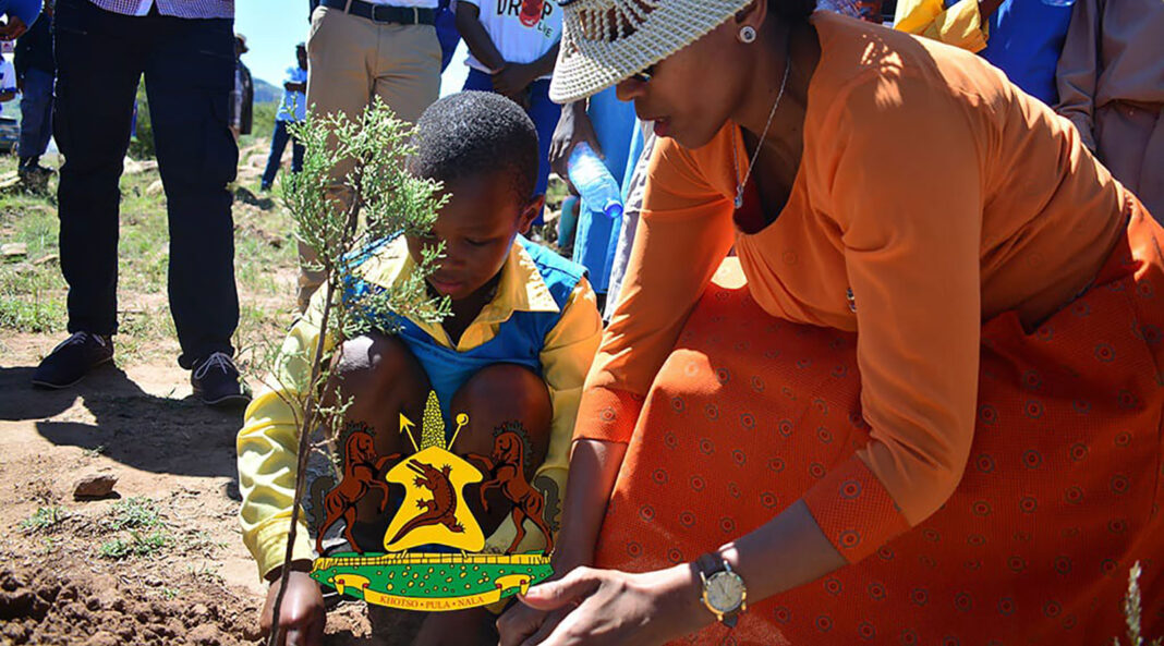 Rotary Club to hosts tree planting day