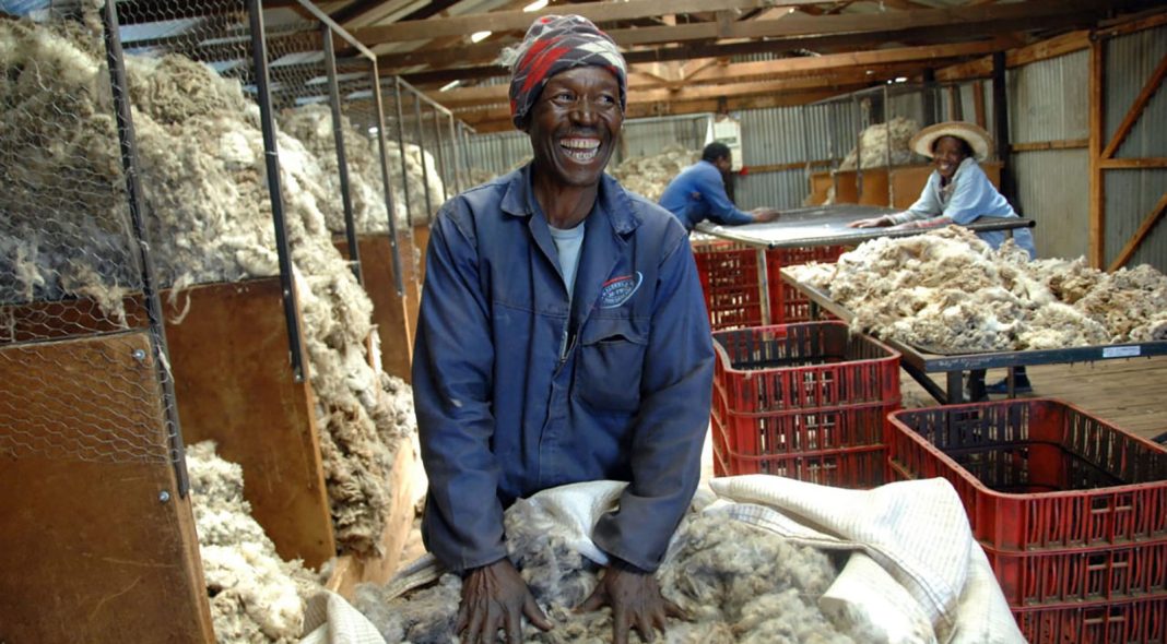 Foundation to celebrate innovation