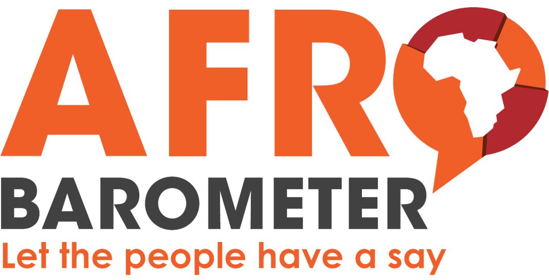 Basotho favour open trade: survey