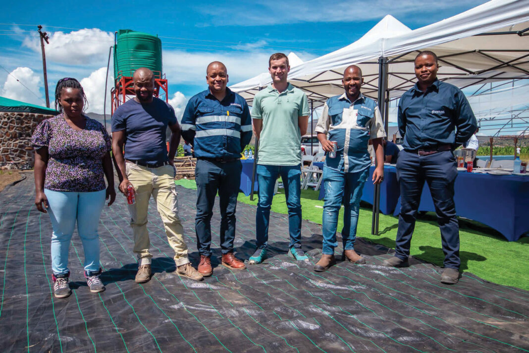 Farmers embrace new potato farming technology