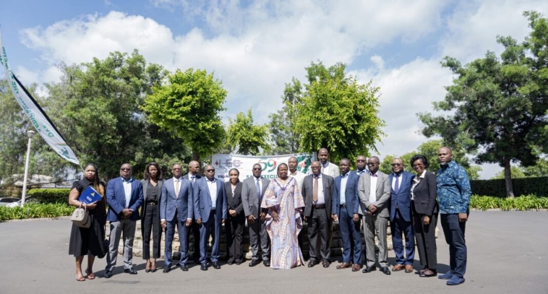 Lesotho targets clean-energy exports