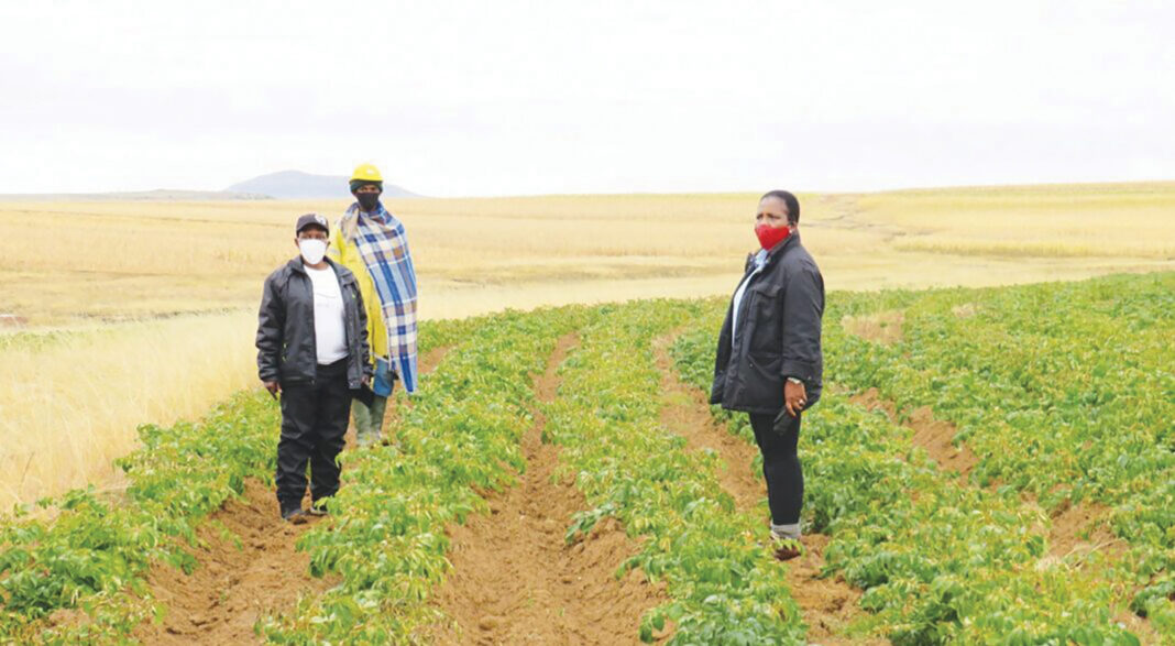 Farmers push for local purchase policy