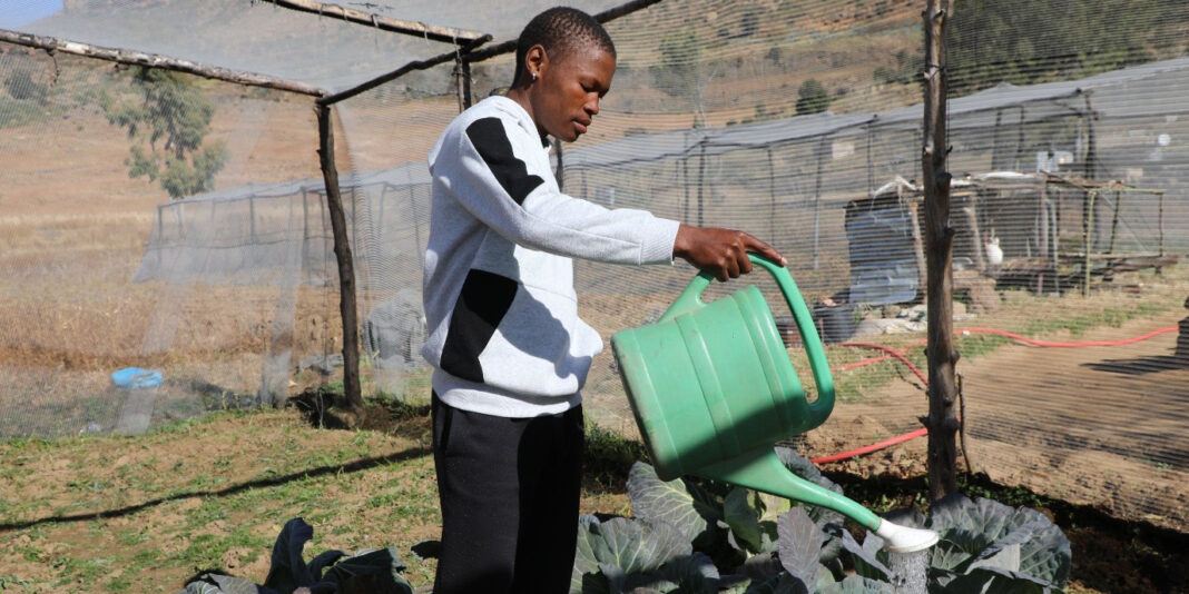 World Vision to launch child wellbeing strategy